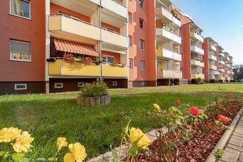 Magdeburg Wohnungen, Magdeburg Wohnung mieten