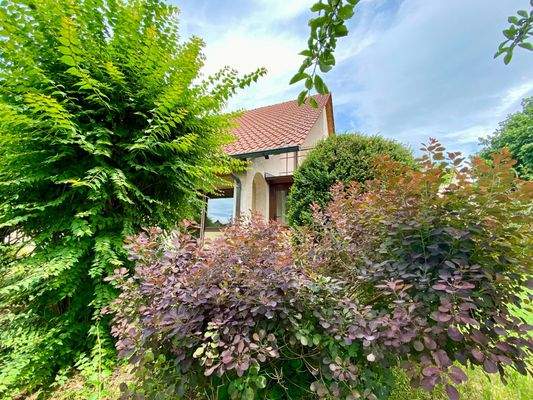 Üppiges Grün für viel Privatsphäre