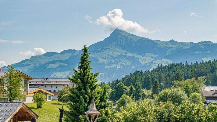 KITZIMMO-Grundstück mit Altbestand in sonniger Ruhelage kaufen - Immobilien Kirchberg.