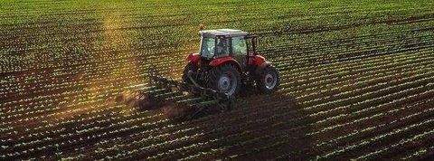 Hohnstorf (Elbe) Bauernhöfe, Landwirtschaft, Hohnstorf (Elbe) Forstwirtschaft