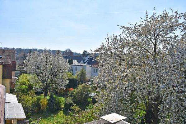 Blick ins Grüne.JPG