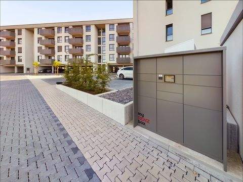 Aschaffenburg Wohnungen, Aschaffenburg Wohnung mieten