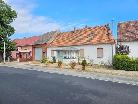 Niederer Fläming Häuser, Niederer Fläming Haus kaufen