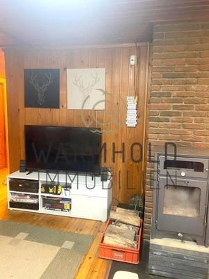Kamin