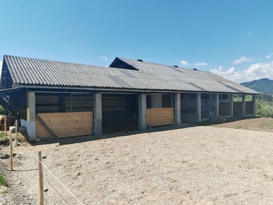 Pferdestall mit Pferdeauslauf