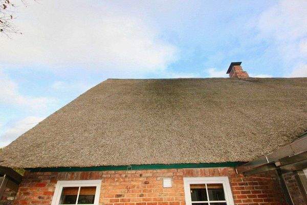 Bilderbuch-Reet (2006 + 2020 neu)