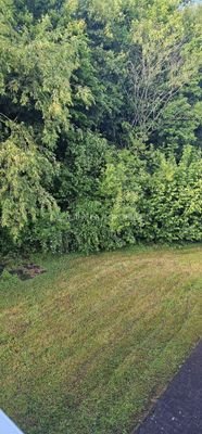 Aussicht vom Abstellraum in den Garten