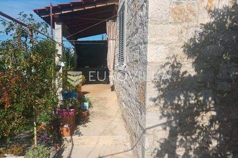 Solta Wohnungen, Solta Wohnung kaufen