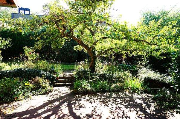 13-Blick von Terrasse EG in den Garten