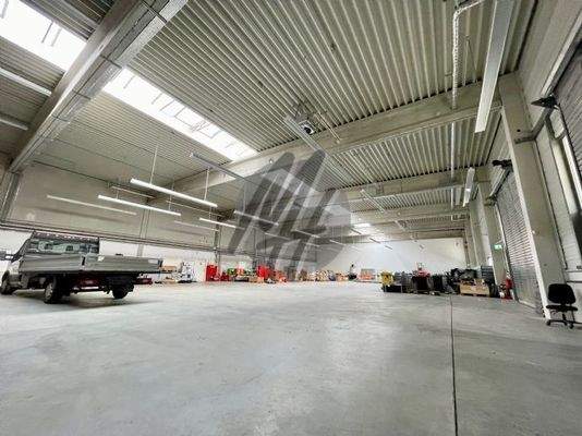 INFOS UNTER: 06171-586000