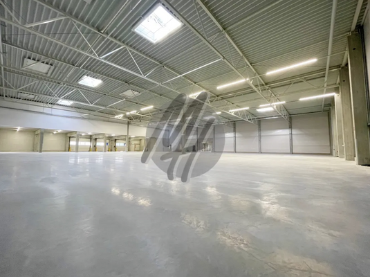 INFOS UNTER: 06171-586000