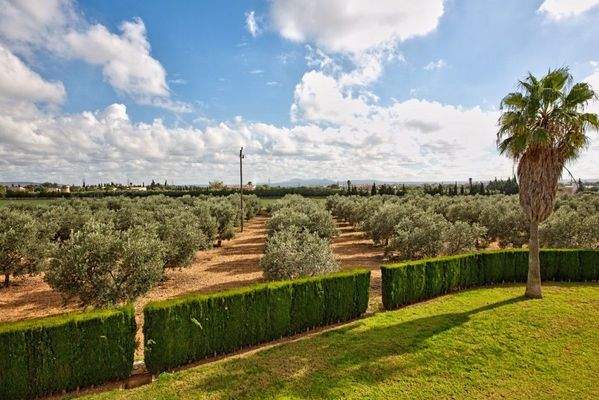 Finca ideal für Tierhaltung, zu verkaufen,  Marratxí, Mallorca