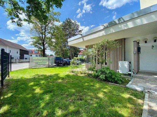 Garten mit Baumschatten