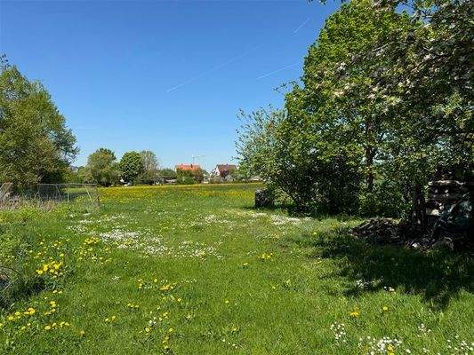 Grünfläche hinten der Scheune