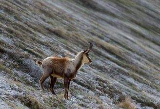 Jagdrevier (Beispielfoto)