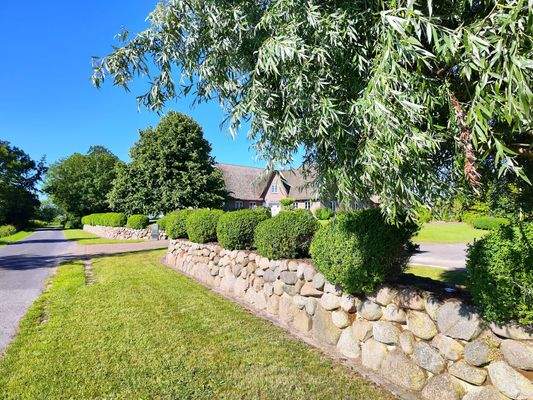 0) IMG_20250701_085945.jpg