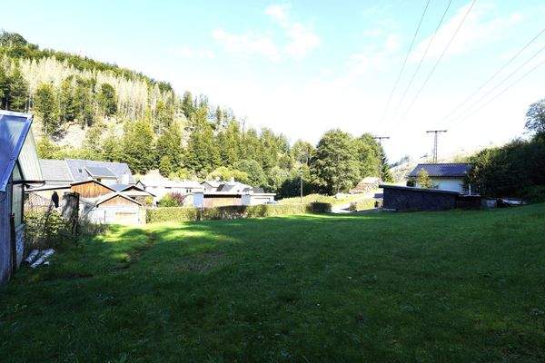 Dorfansicht mit Wiese