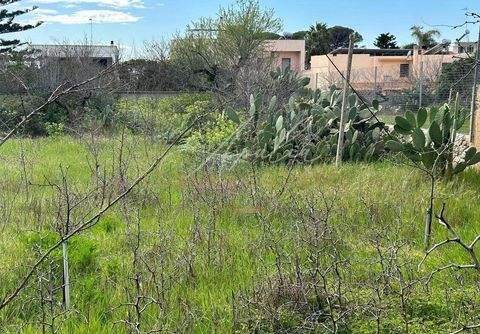 Serrano Häuser, Serrano Haus kaufen