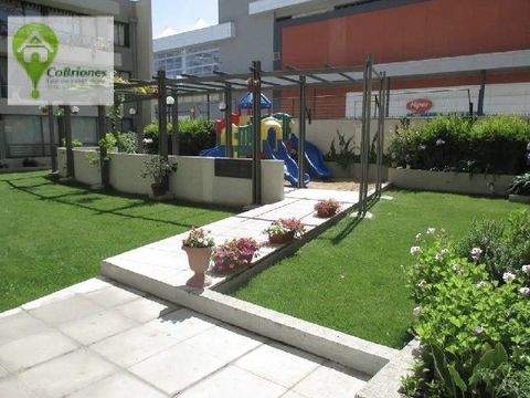 Vina Del Mar Wohnungen, Vina Del Mar Wohnung kaufen