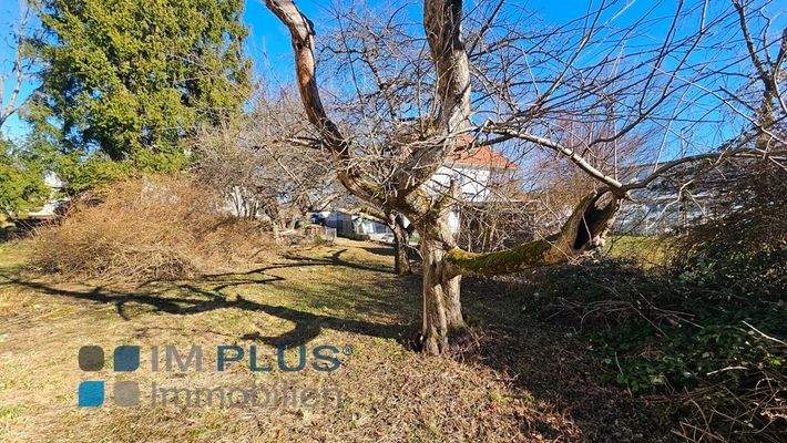 Ansicht des Grundstückes