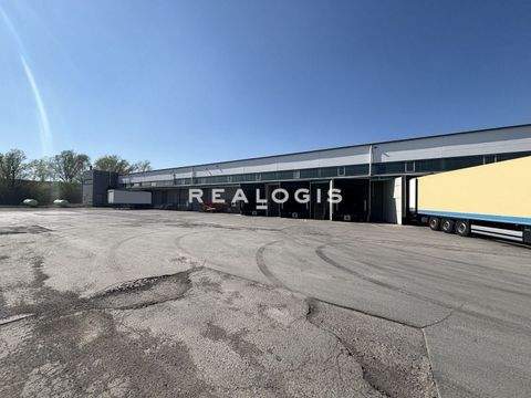 Bochum Halle, Bochum Hallenfläche