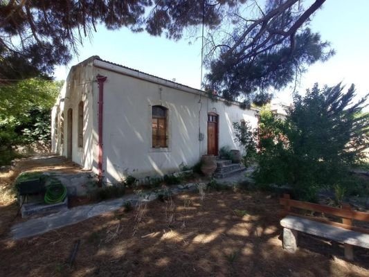 Großes Steinhaus mit unvollendetem Gästehaus, Olivenhain und Garten