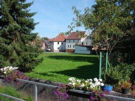 Blumenauer (c) - Titelbild