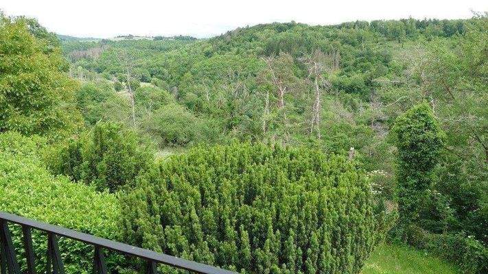 toller Blick vom Balkon