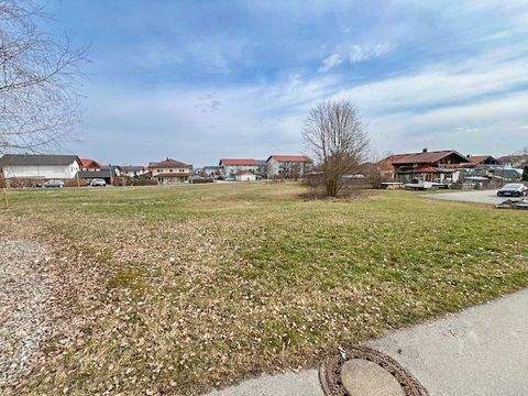 Fridolfing Grundstücke, Fridolfing Grundstück kaufen