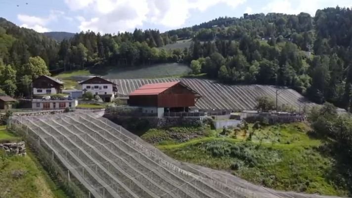 Vöran-Hof-traumhafteAussicht-Ruhe-Äpfel-Wiese-Kastanien-Südtirol-Meraner-Land-Stall-Scheune-Mühle-Beregnugn-Wasserspeicherbecken-Witschaftsgebäude-Bauernhof