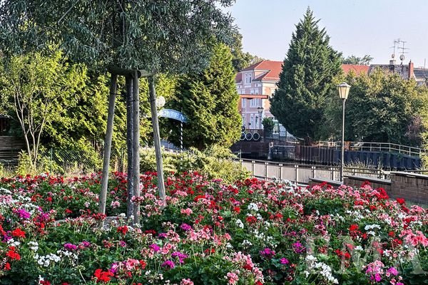 Umgebung mit Blick zur Immobilie