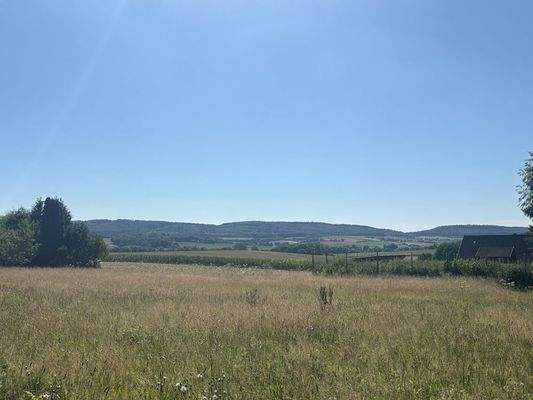 Der Blick vom hinteren Teil des Grundstücks