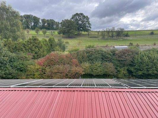 WhatsApp Image 2025-12-16 at 11.01.03-3.jpeg