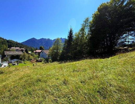 Weitläufiges Grundstück