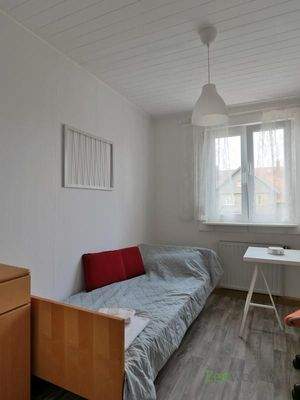 Einzelbett im Gästezimmer