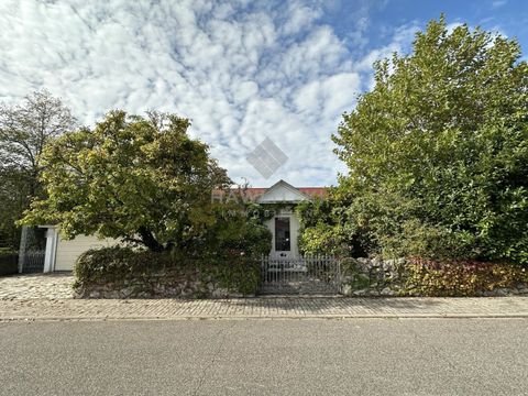 Rheinstetten Häuser, Rheinstetten Haus kaufen