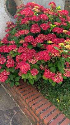 Bild 17_Außenanlage.JPG