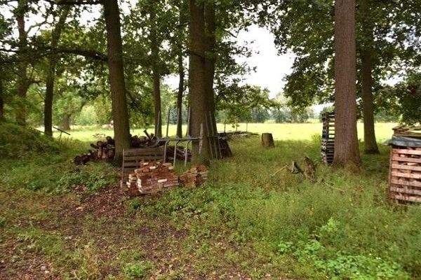 hinter Scheune Wiese