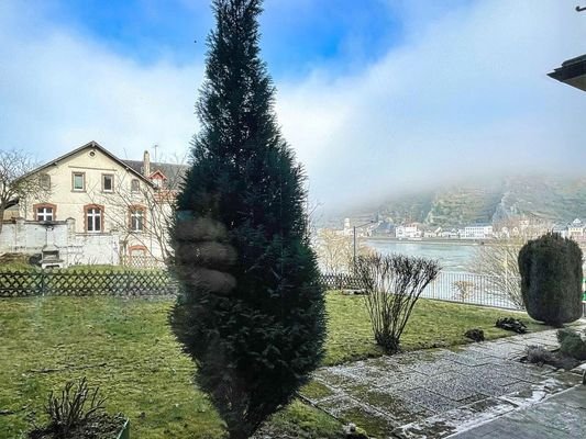 Garten_2