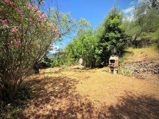 AP_1026_TERRA ITALIA IMMOBILIEN_LIGURIEN_APRICALE_