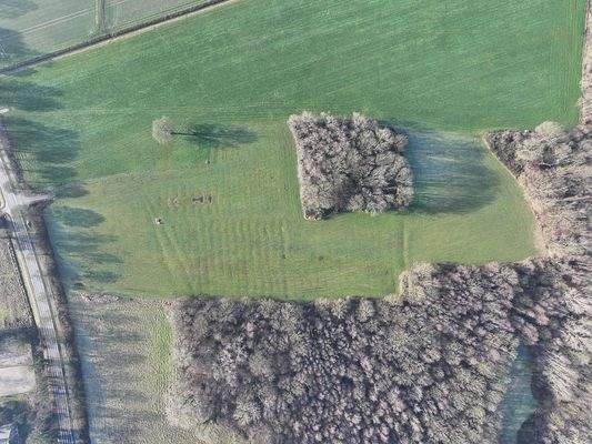 Blick auf das Flurstück 