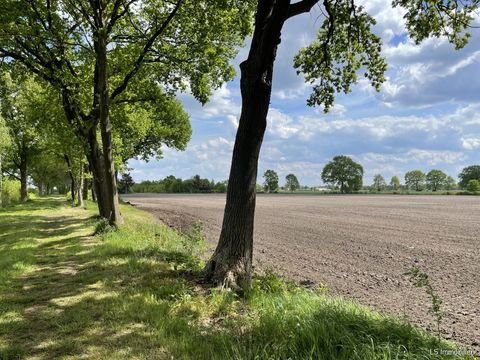 Edewecht Bauernhöfe, Landwirtschaft, Edewecht Forstwirtschaft