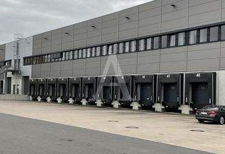 Beispielansicht Hallenfläche