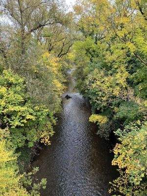 die Fils in der Nähe