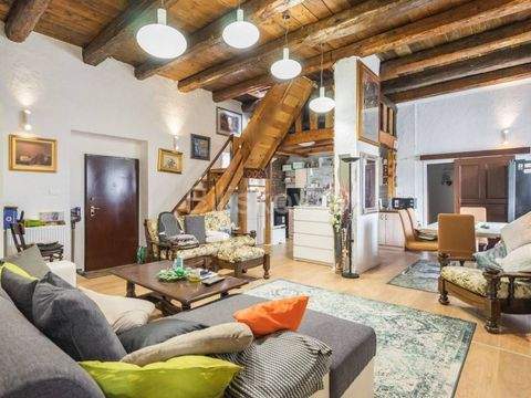 Odra Häuser, Odra Haus kaufen