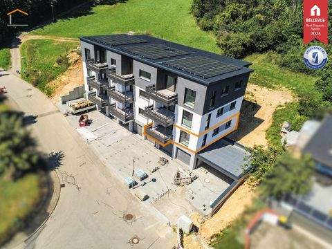 Fridingen an der Donau Wohnungen, Fridingen an der Donau Wohnung mieten