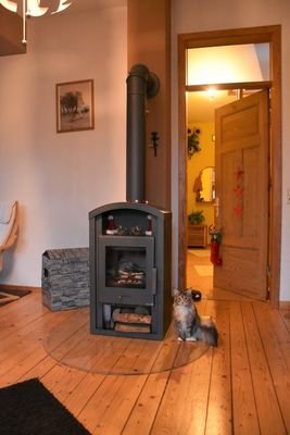 Ofen Wohnung I (Ofen und Katze im Eigentum des Mieters)
