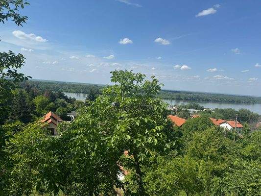 PHOTO-2025-06-03-15-29-15 1.jpg