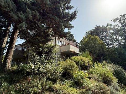 Müllheim Wohnungen, Müllheim Wohnung kaufen