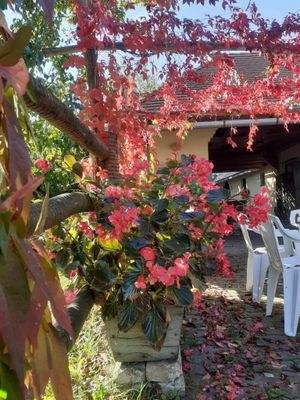 431199488_2170493359955319_4008431416581517824_n.j